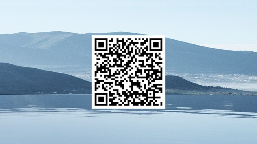 Hyundai Evolve+ iPhone QR code | Balise Hyundai of Cape Cod in Hyannis MA